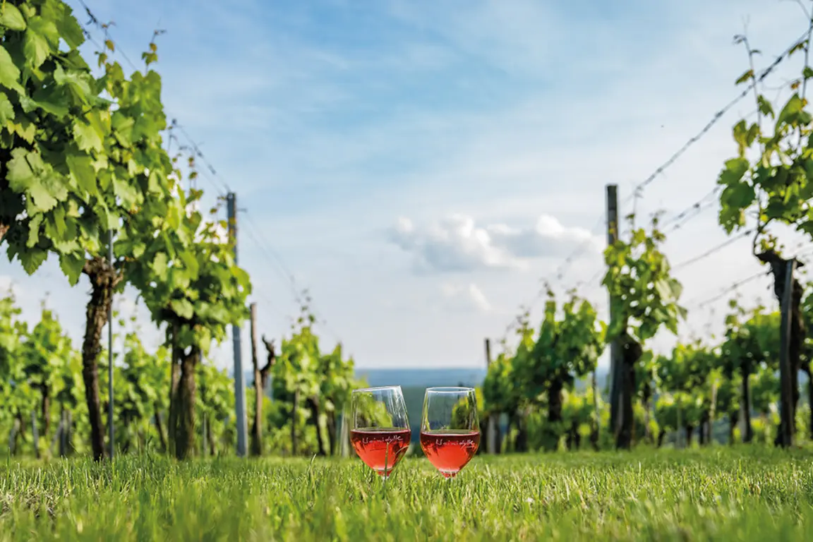 Weinregion Burgenland